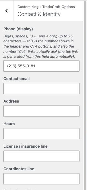 Customizer to Contact & Identity section, showing the Phone, email, address, hours and license fields.